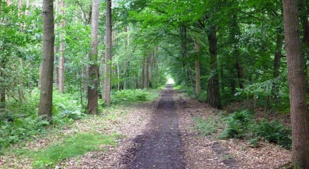 B&B Woodside Torhout Esterno foto
